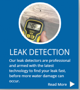 services-leak-detection