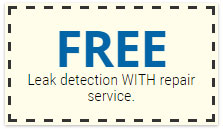 free-leak-detection-with-repair