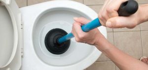 clogged toilet repair